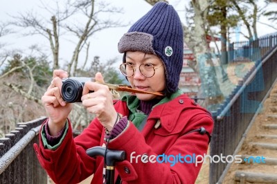 Women In Red Coat Taking A Photo At Japan Garden Stock Photo
