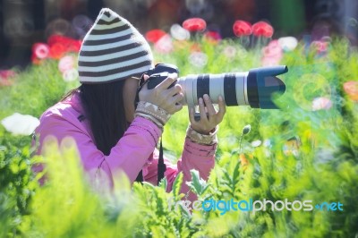 Women Photographer Stock Photo