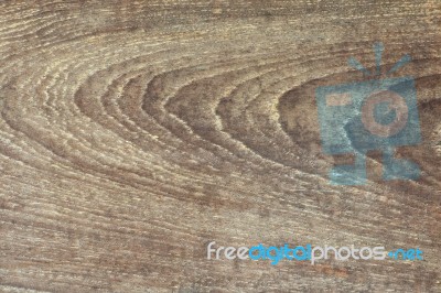 Wood Bark Texture Stock Photo