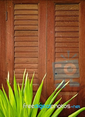 Wood Door Retro Style Stock Photo