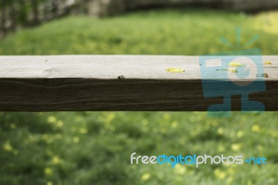 Wooden Bench In Outdoors Garden In Summer Stock Photo