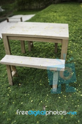 Wooden Bench In Outdoors Garden In Summer Stock Photo