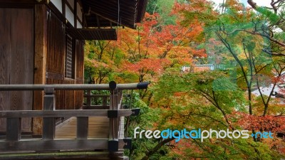 Wooden Building And Autumn Leaves At Eikando, Kyoto Stock Photo