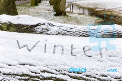 Word Winter Written In Snow On Oak Tree Trunk Stock Photo