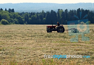 Working The Field Stock Photo