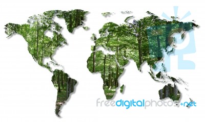 World Map With Tree Stock Image