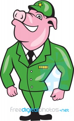 World War Two Pig Soldier Attention Cartoon Isolated Stock Image
