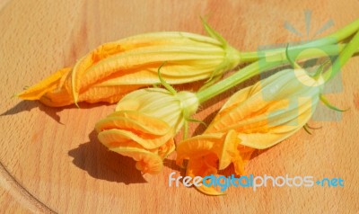 Yellow Courgette Blossoms Stock Photo
