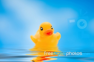 Yellow Duck Stock Photo