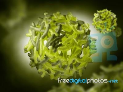 Yellow Fever Virus Stock Image