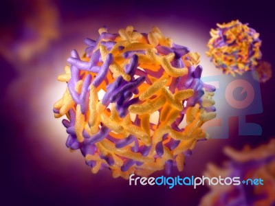Yellow Fever Virus Stock Image