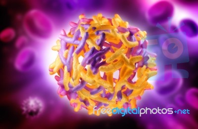 Yellow Fever Virus Stock Image