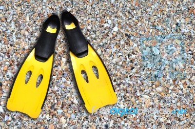 Yellow Fins And Sand Beach Stock Photo