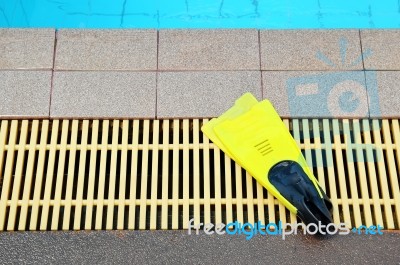 Yellow Flipper Stock Photo