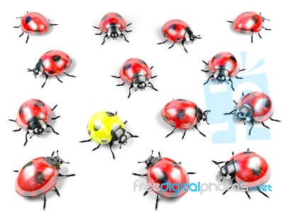 Yellow Ladybug Among Group Of Red Ladybugs Stock Image