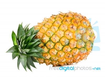 Yellow Pineapple Isolated Stock Photo Yellow Pineapple Isolated Stock Photo
