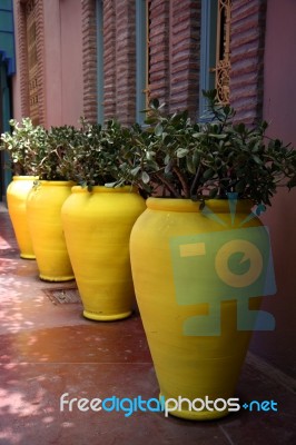 Yellow Pots Stock Photo