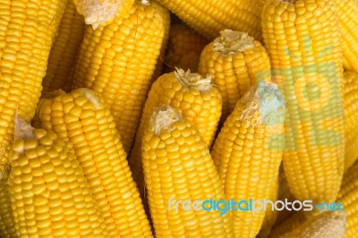 Yellow Raw Corn Stock Photo