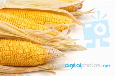 Yellow Sweet Corn Cob Stock Photo