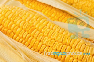 Yellow Sweet Corn For Food Background Stock Photo