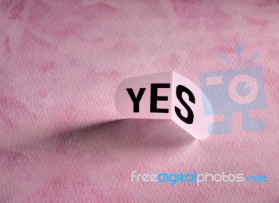 Yes Tag Paper Stock Photo
