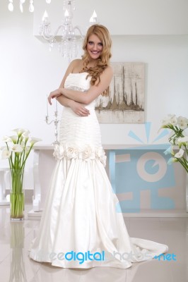 Young Beautiful Bride Stock Photo