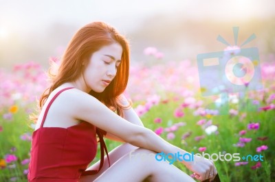 Young Beautiful Woman With A Cosmos Flower Stock Photo