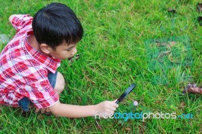 Young Boy Exploring Nature With Magnifying Glass. Outdoors In Th… Stock Photo