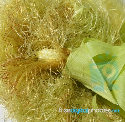 Young Corn With Leaves Stock Photo