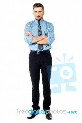 Young Corporate Guy, Studio Shot Stock Photo