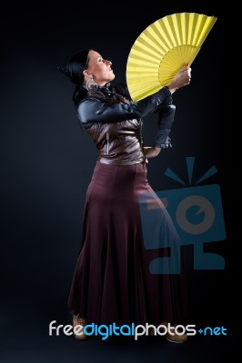 Young Flamenco Dancer In Beautiful Dress On Black Background Stock Photo