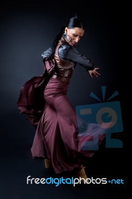 Young Flamenco Dancer In Beautiful Dress On Black Background Stock Photo