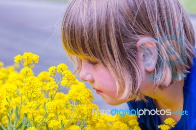 Young Girl Smelling Yellow Flowers Stock Photo