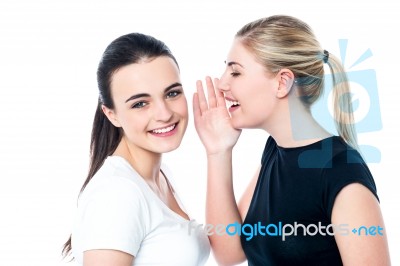 Young Girls Gossiping And Having Fun Stock Photo