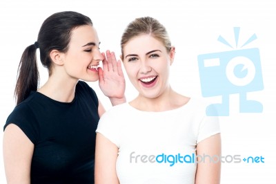 Young Girls Gossiping And Having Fun Stock Photo