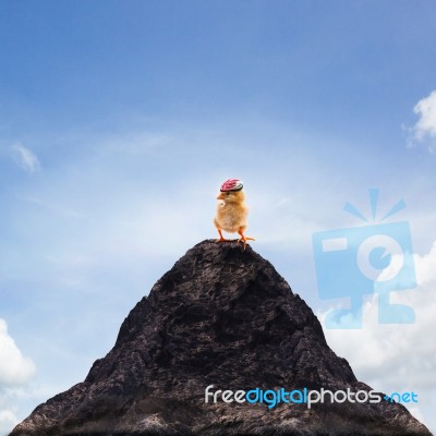Young Kid Chick Baby Standing On Top Peak Of Mountain Abstract F… Stock Photo