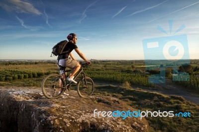 Young Man Riding Mountain Bike Stock Photo