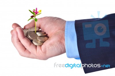 Young Sprout With Flower Grows From A Heap Of British Pound Ster… Stock Photo