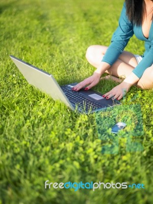 Young Woman Using Laptop In Park Stock Photo