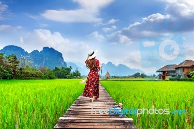 Young Woman Walking On Wooden Path With Green Rice Field In Vang Vieng, Laos Stock Photo