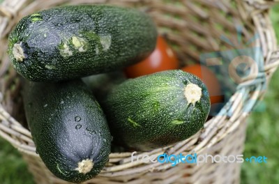 Zucchini Stock Photo