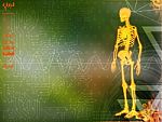 3d Illustration Of  Walking Fire Skeleton By X-rays On Backgroun Stock Photo