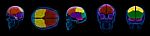 3d Render Illustration  Of A  Human Brain Stock Photo