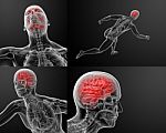 3d Render Illustration Of Human Brain X Ray Stock Photo