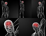 3d Rendering Of The Human Brain Anatomy Stock Photo
