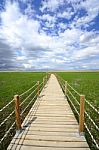 A Bridge On The Lake Stock Photo