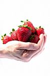 A Handful Of Strawberries Stock Photo