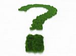 A Question Mark And Grass Stock Photo