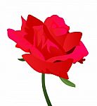 A Red Rose Illustration Stock Photo