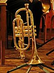 A Trumpet Stock Photo